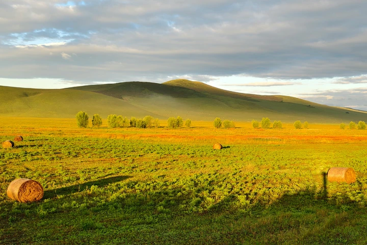 Алтай