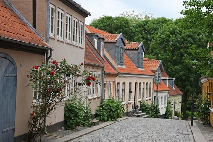 Danimarka