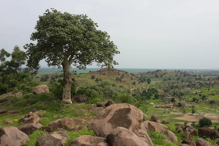 Güney Sudan