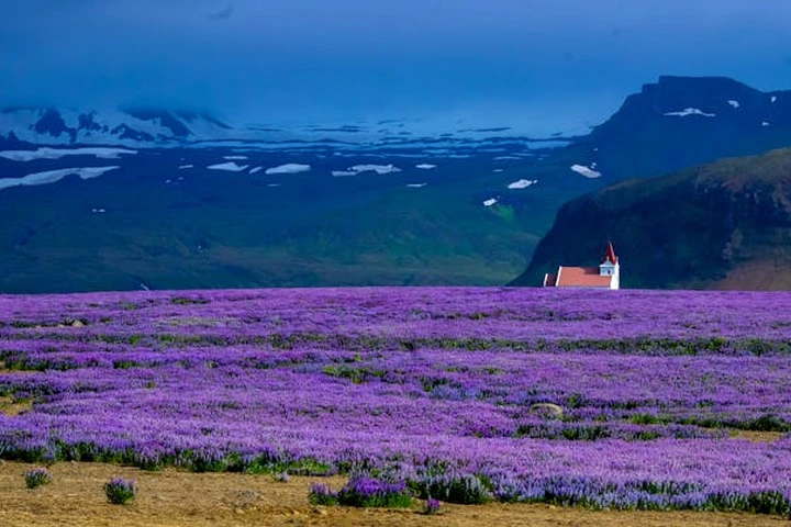 İzlanda