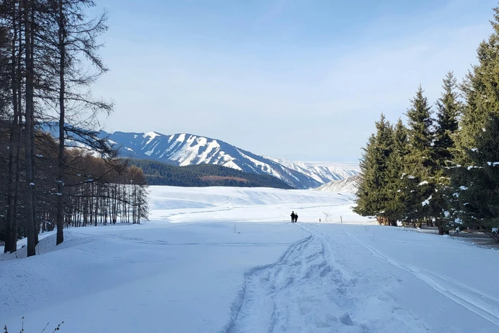 Караколе