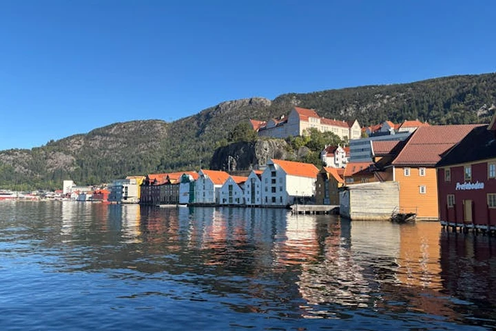 Norveç