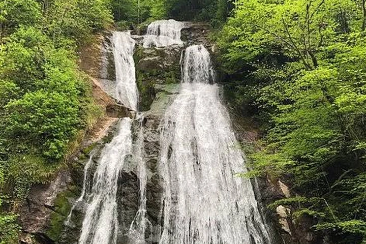 Enuygun Düzce Uçak Bileti